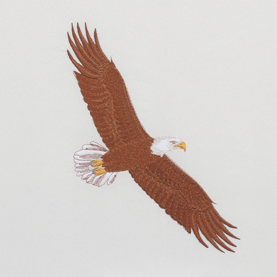 Soaring Eagle Embroidery Design